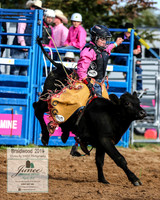 BraidwoodRodeo2019_0426