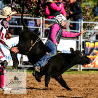 BraidwoodRodeo2019_0521