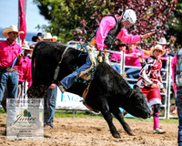 BraidwoodRodeo2019_1173