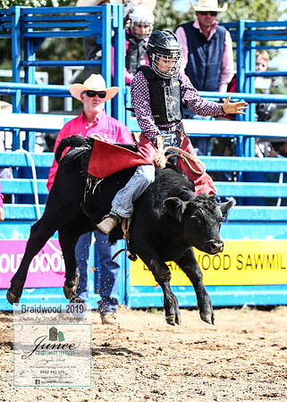 BraidwoodRodeo2019_1584
