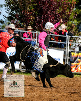 BraidwoodRodeo2019_0472