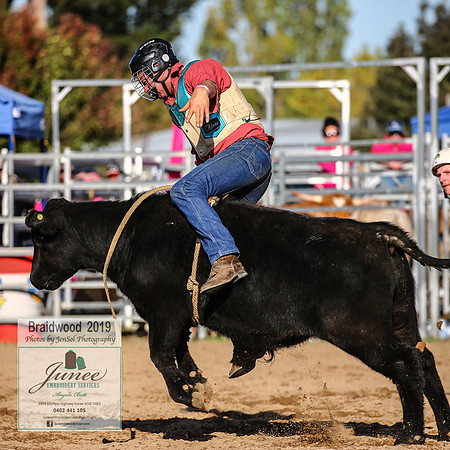 BraidwoodRodeo2019_2346