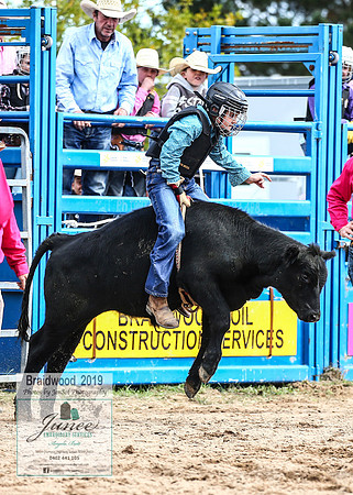 BraidwoodRodeo2019_1530