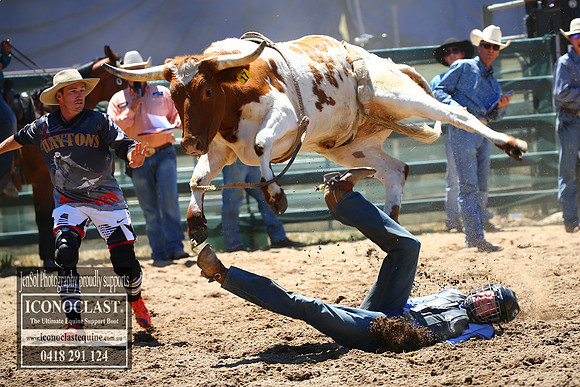 CoomaRodeo2018_0890
