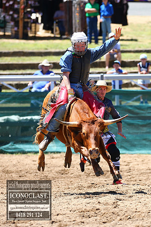 CoomaRodeo2018_1004