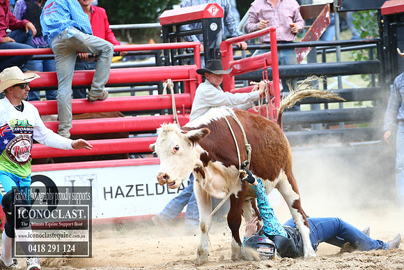 CoomaRodeo2018_3432