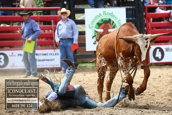 CoomaRodeo2018_1180