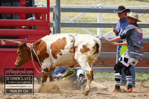 CoomaRodeo2018_1251