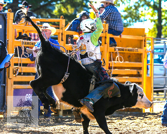 BraidwoodRodeo2015_0369