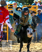 BraidwoodRodeo2015_0359