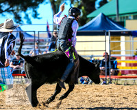 BraidwoodRodeo2015_0346