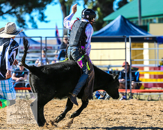 BraidwoodRodeo2015_0346