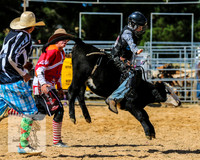BraidwoodRodeo2015_2597