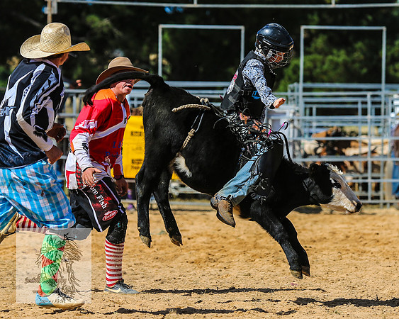 BraidwoodRodeo2015_2597