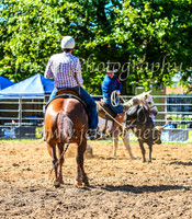 TumbarumbaRodeo2024_0316