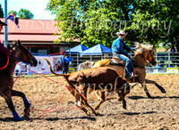 TumbarumbaRodeo2024_0345