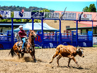 TumbarumbaRodeo2024_1768