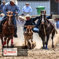 BungendoreRodeo2018-3727