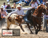 BungendoreRodeo2018-4539