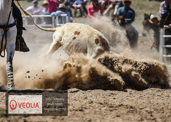 BungendoreRodeo2018-5052