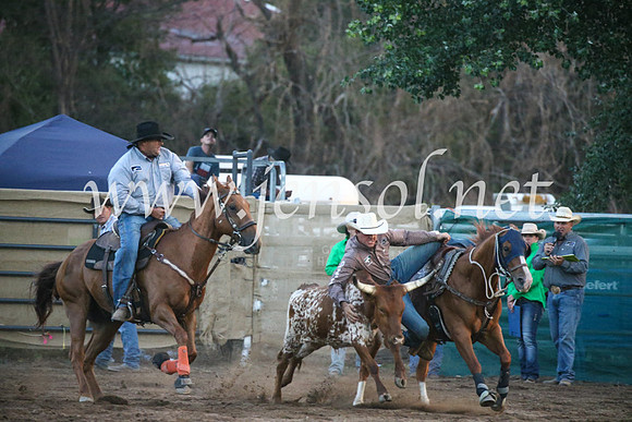 CoomaRodeo2017_3895