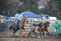 CoomaRodeo2017_3890