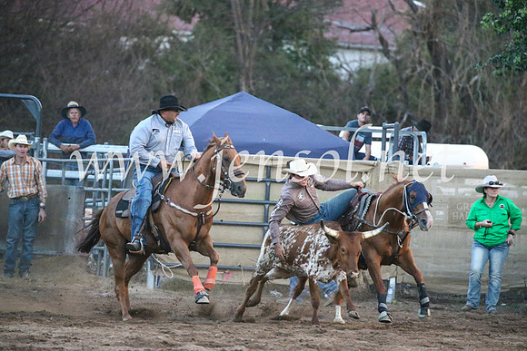 CoomaRodeo2017_3890