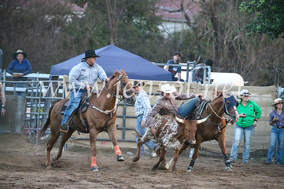 CoomaRodeo2017_3891