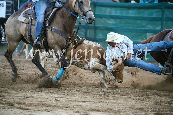 CoomaRodeo2017_3875