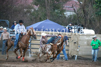 CoomaRodeo2017_3882