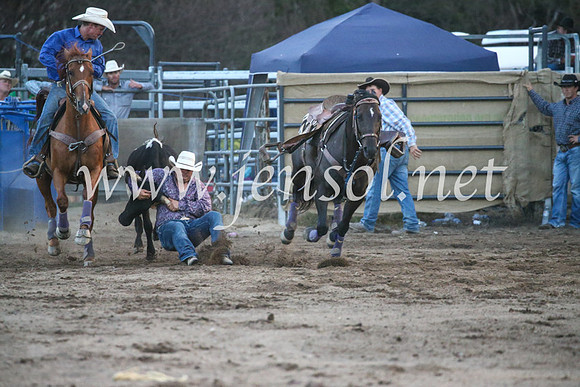 CoomaRodeo2017_3857