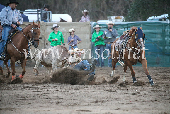 CoomaRodeo2017_3844