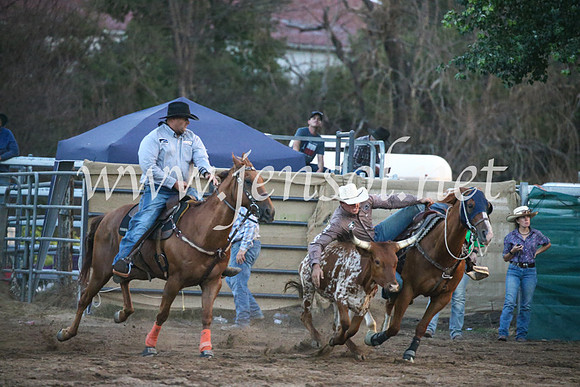 CoomaRodeo2017_3892