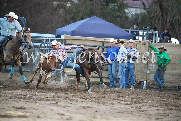 CoomaRodeo2017_3915