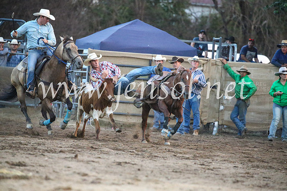 CoomaRodeo2017_3918
