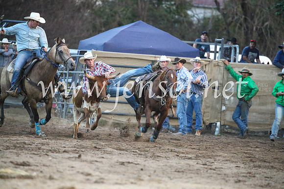 CoomaRodeo2017_3916