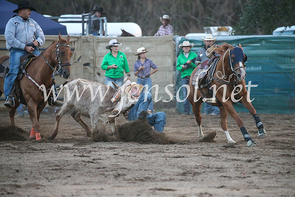 CoomaRodeo2017_3843