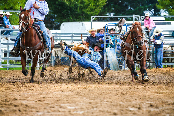BraidwoodRodeo2017_1458
