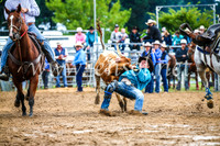 BraidwoodRodeo2017_1420