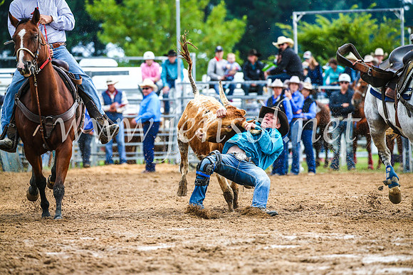 BraidwoodRodeo2017_1420