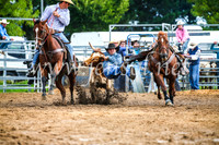 BraidwoodRodeo2017_1467