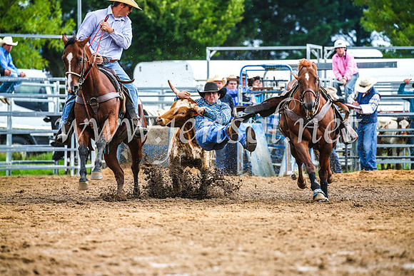 BraidwoodRodeo2017_1467
