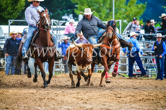 BraidwoodRodeo2017_1473