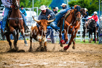 BraidwoodRodeo2017_1484