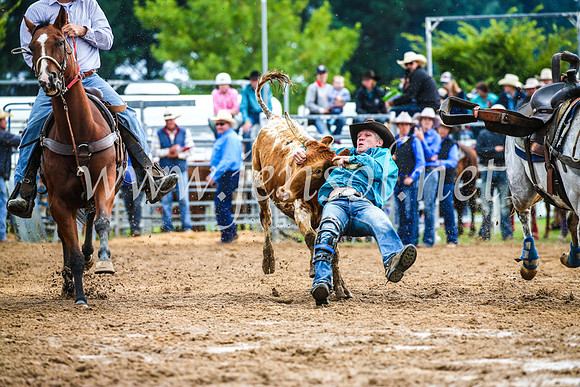 BraidwoodRodeo2017_1422