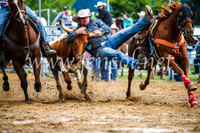 BraidwoodRodeo2017_1475