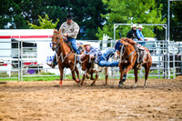 BraidwoodRodeo2017_1439