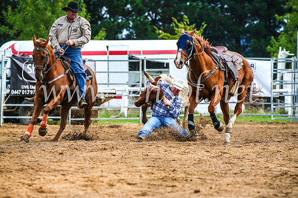 BraidwoodRodeo2017_1441