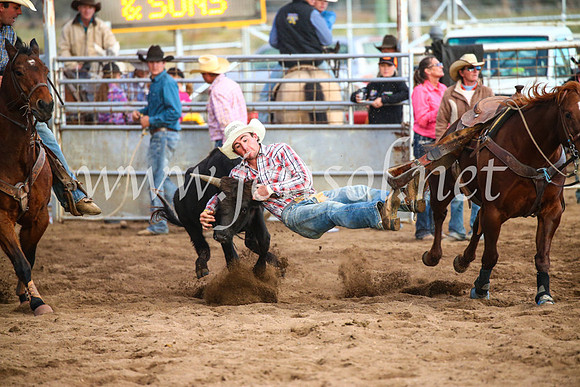 CoonambleRodeoCampdraftSun_5105