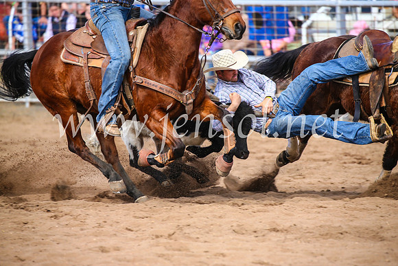CoonambleRodeoCampdraftSun_3499